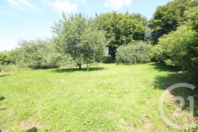 Maison à vendre - 8 pièces - 208,30 m2 - Sassetot Le Mauconduit - 76 - HAUTE-NORMANDIE