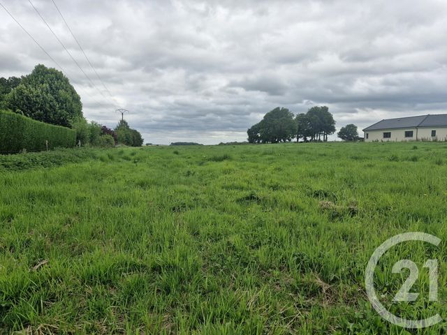 terrain - BLOSSEVILLE - 76