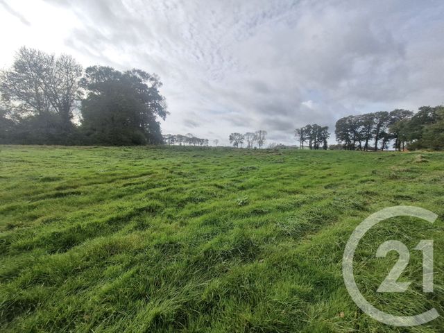 Terrain à vendre - 3000 m2 - Blosseville - 76 - HAUTE-NORMANDIE