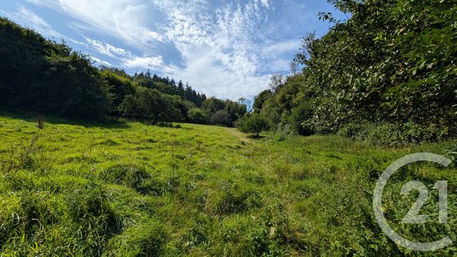 Maison à vendre - 8 pièces - 194,22 m2 - Cany Barville - 76 - HAUTE-NORMANDIE